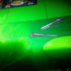 釣りはストレス解消の巻